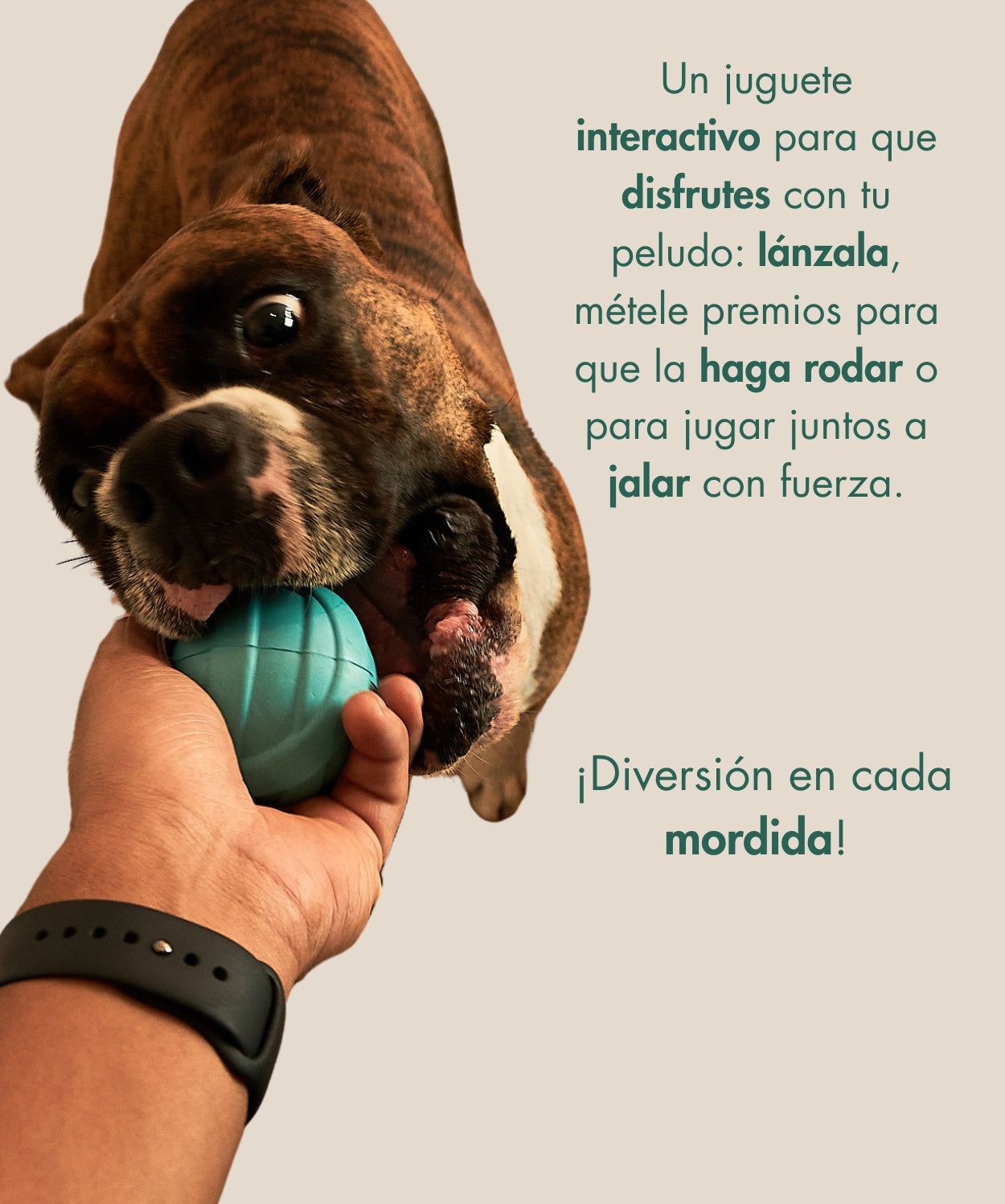 Juguete ODIE