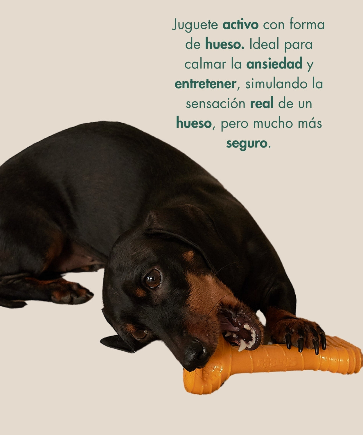 Juguete DOO