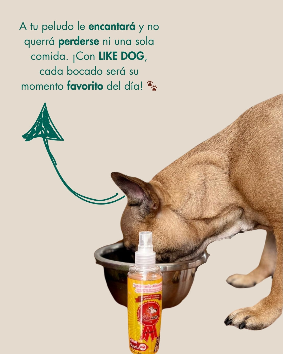 Ayuda a comer su concentrado